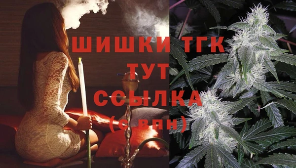 таблы Богданович