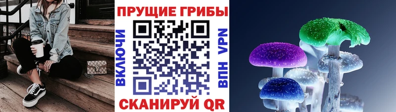 Галлюциногенные грибы ЛСД  hydra маркетплейс  Новосиль 