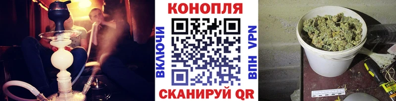 где продают наркотики  Новосиль  Бошки марихуана MAZAR 